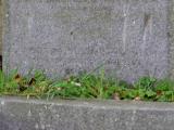 image of grave number 246491
